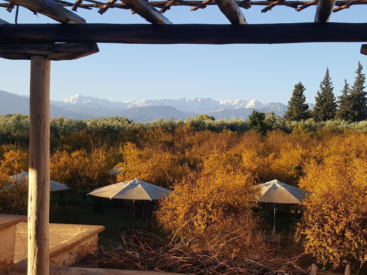 Jnane Tihihit Bed & Breakfast Lalla Takerkoust ภายนอก รูปภาพ